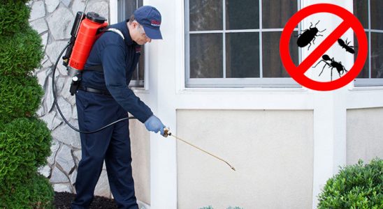 Çukurca Kemirgen İlaçlama böcek ilaçlama ve haşere kontrolü — ilaclama-tr.com
